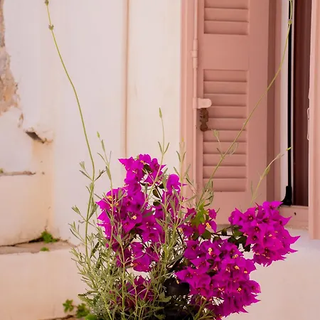 Picture Perfect Traditional Holiday home