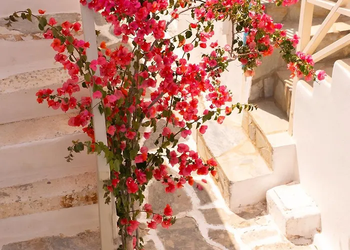 Ferienhaus Picture Perfect Traditional