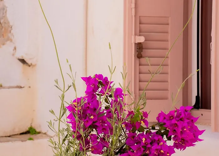 Picture Perfect Traditional Ferienhaus