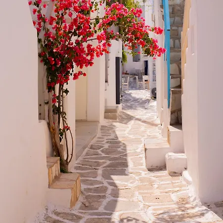 Holiday home Picture Perfect Traditional