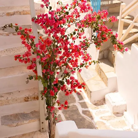 Holiday home Picture Perfect Traditional